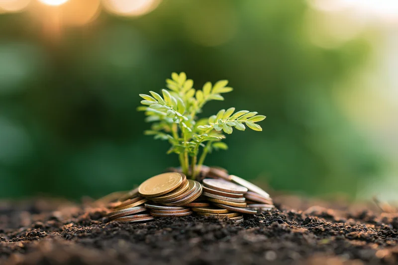 Small green plant growing from a pile of coins in soil