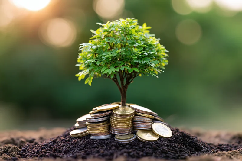 Small green tree growing from a mound of gold and silver coins in soil