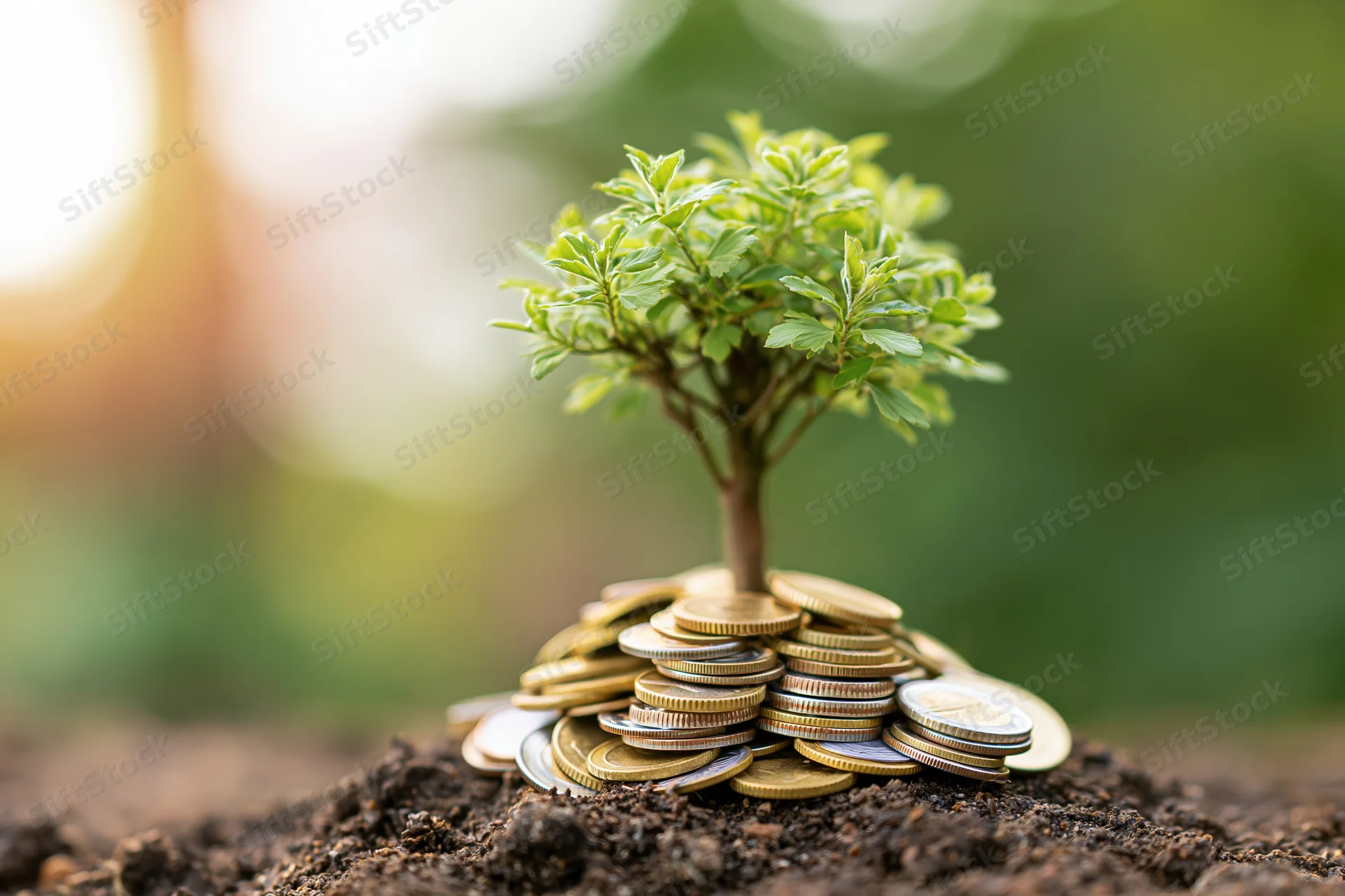Small green tree growing from a mound of gold and silver coins in soil