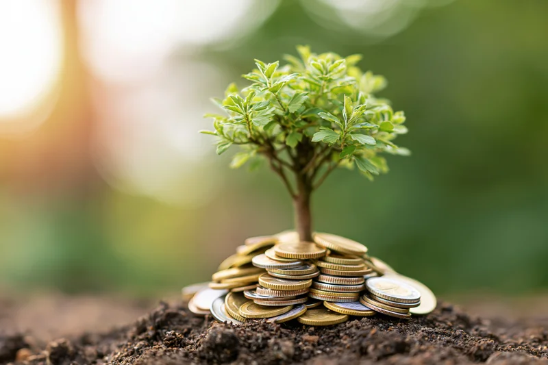 Small green tree growing from a mound of gold and silver coins in soil