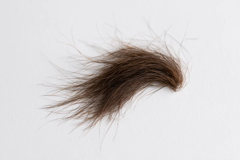 Loose clump of dark brown human hair on plain white surface
