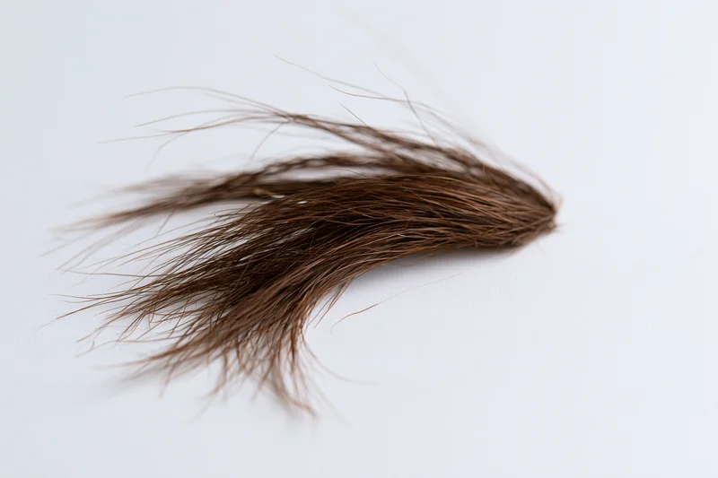 Loose clump of dark brown human hair lying on plain white surface