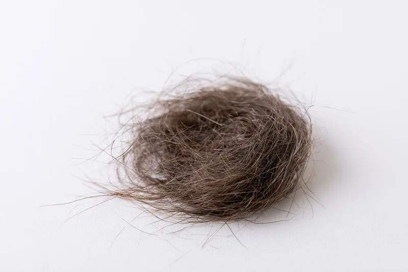 Tangled clump of shed dark brown human hair on white surface