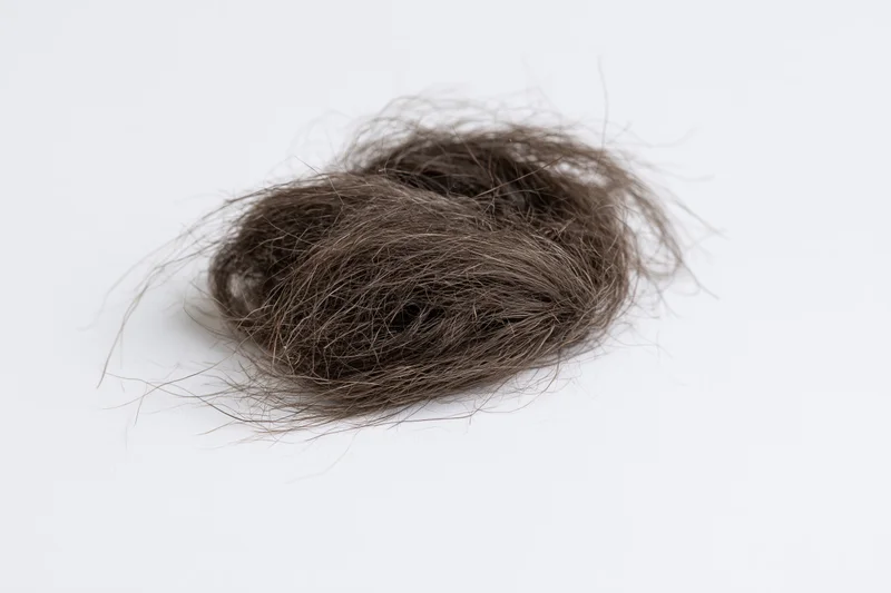 Tangled clump of shed dark brown human hair on white surface