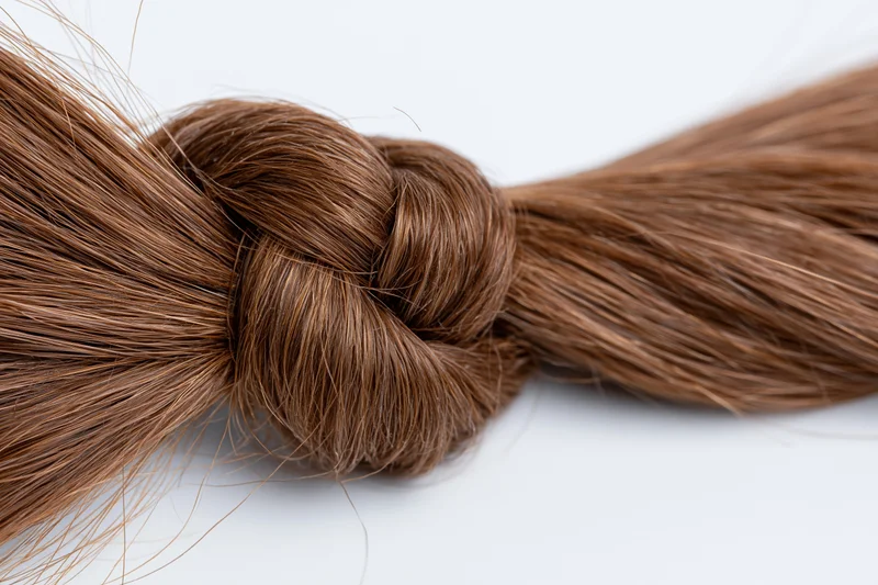Thick bundle of chestnut brown human hair tied into a loose knot on white background