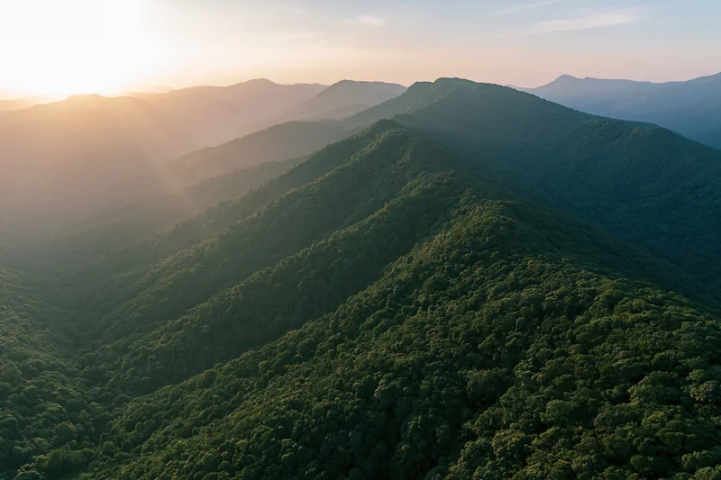 Aerial view of layered green mountain ridges covered in dense forest at sunrise