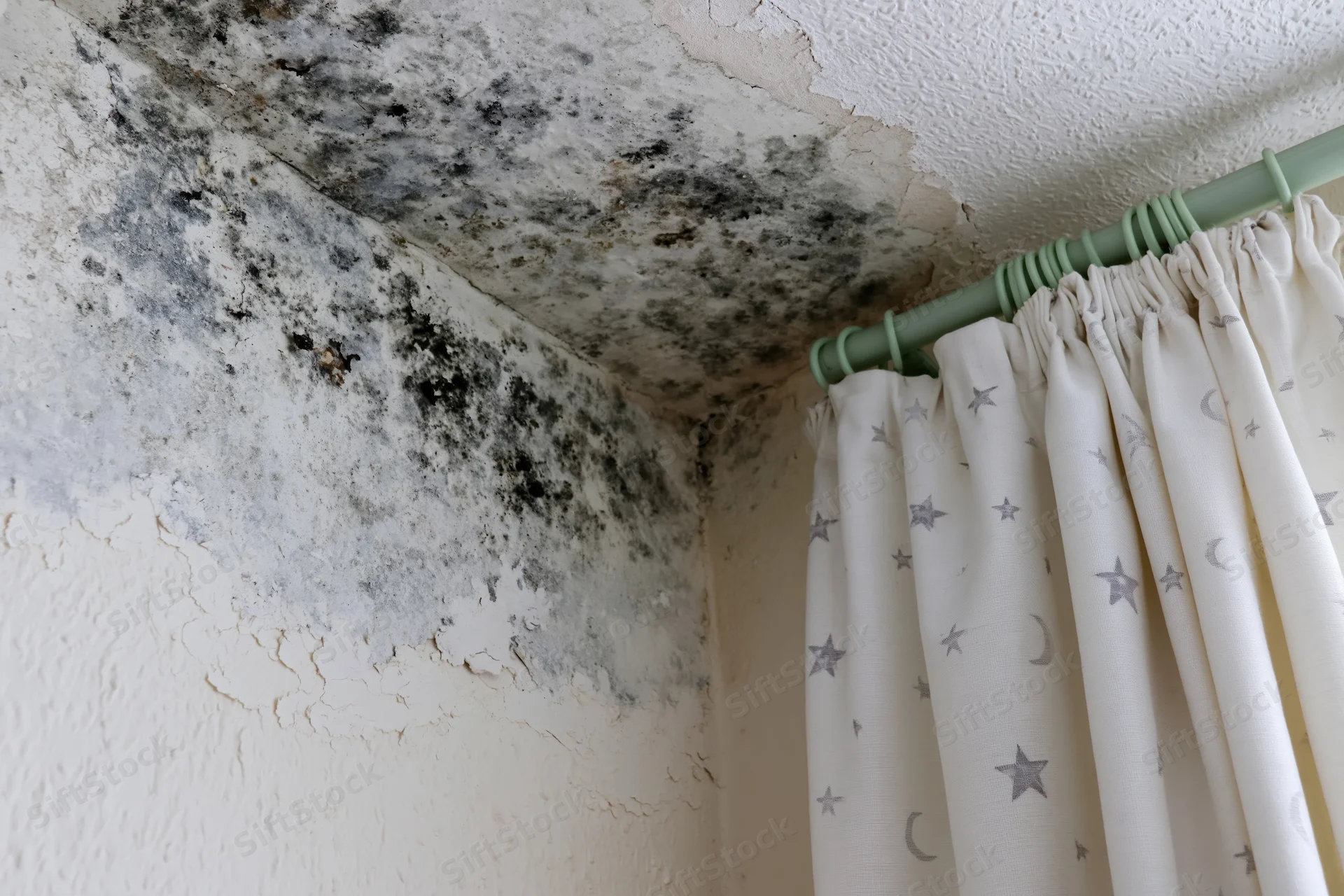 Black mold spreading across a damp interior corner near a ceiling and wall with peeling paint and a curtain rod