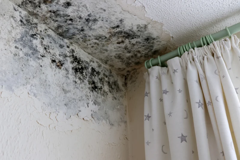 Black mold spreading across a damp interior corner near a ceiling and wall with peeling paint and a curtain rod