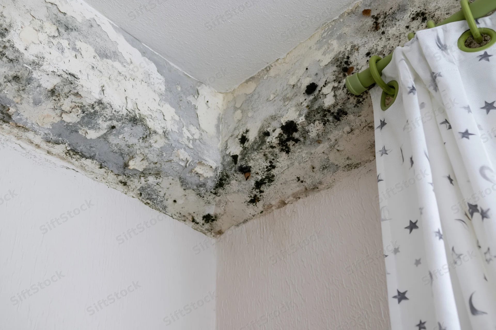 Black mold spreading across damp interior corner near ceiling and wall with peeling paint and a star-patterned curtain