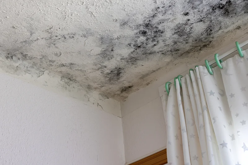 Black mold spreading across damp ceiling corner near white curtain with star pattern