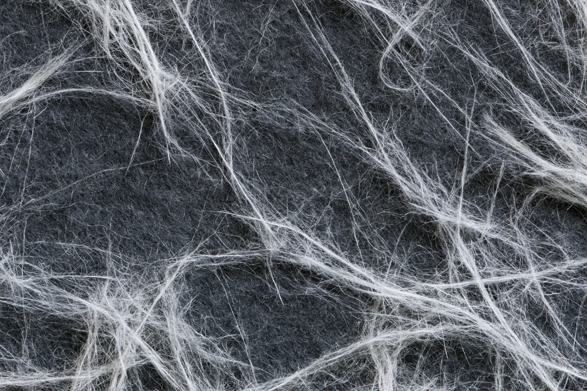 Tangled white fibers and fine lint on dark textured surface in closeup flat lay