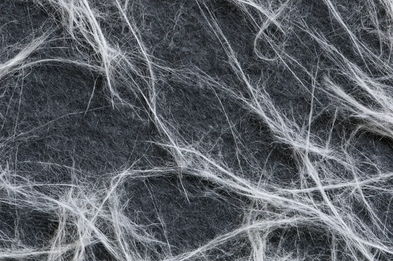 Tangled white fibers and fine lint on dark textured surface in closeup flat lay