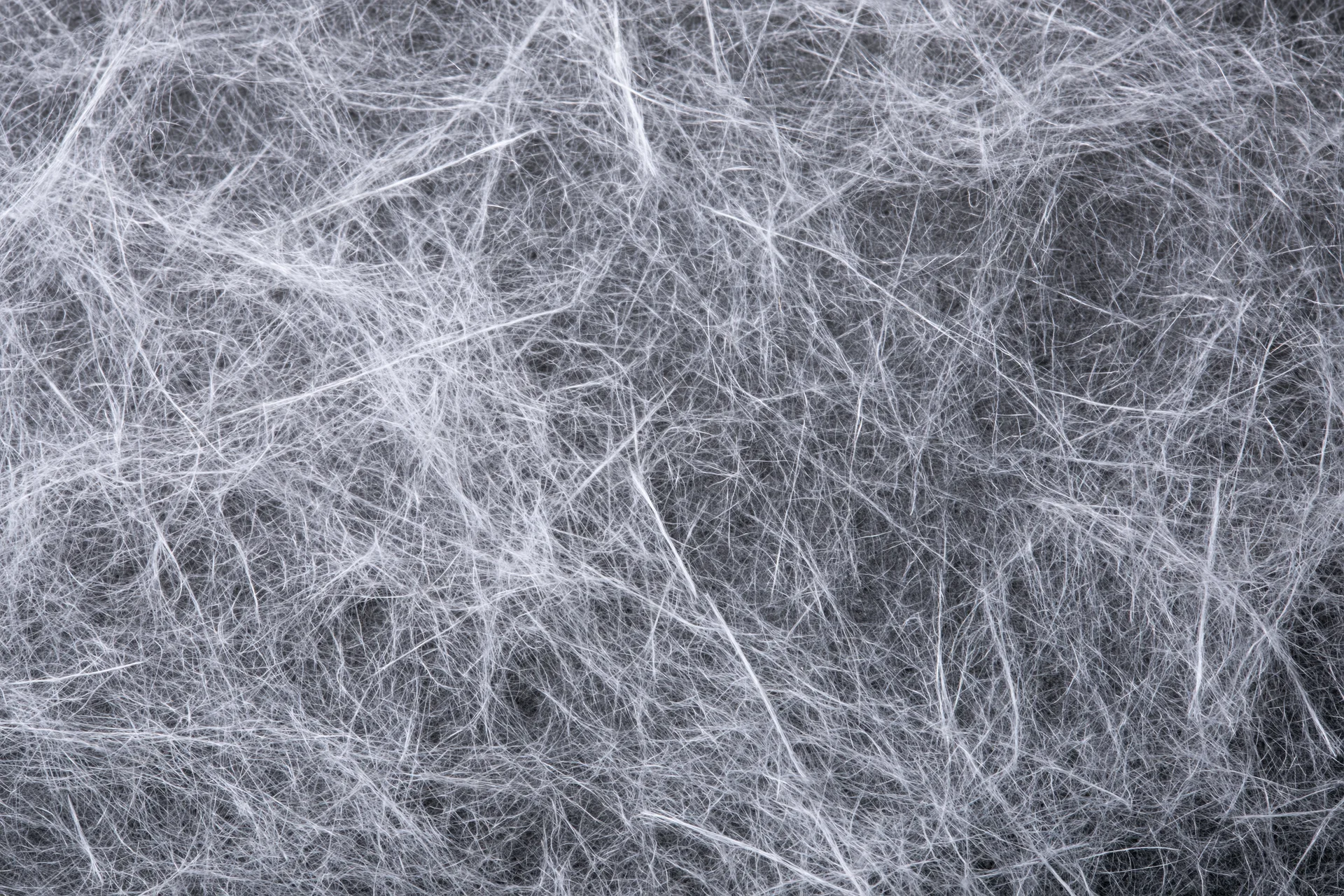 Tangled white fibers and fine lint strands in a flat lay closeup