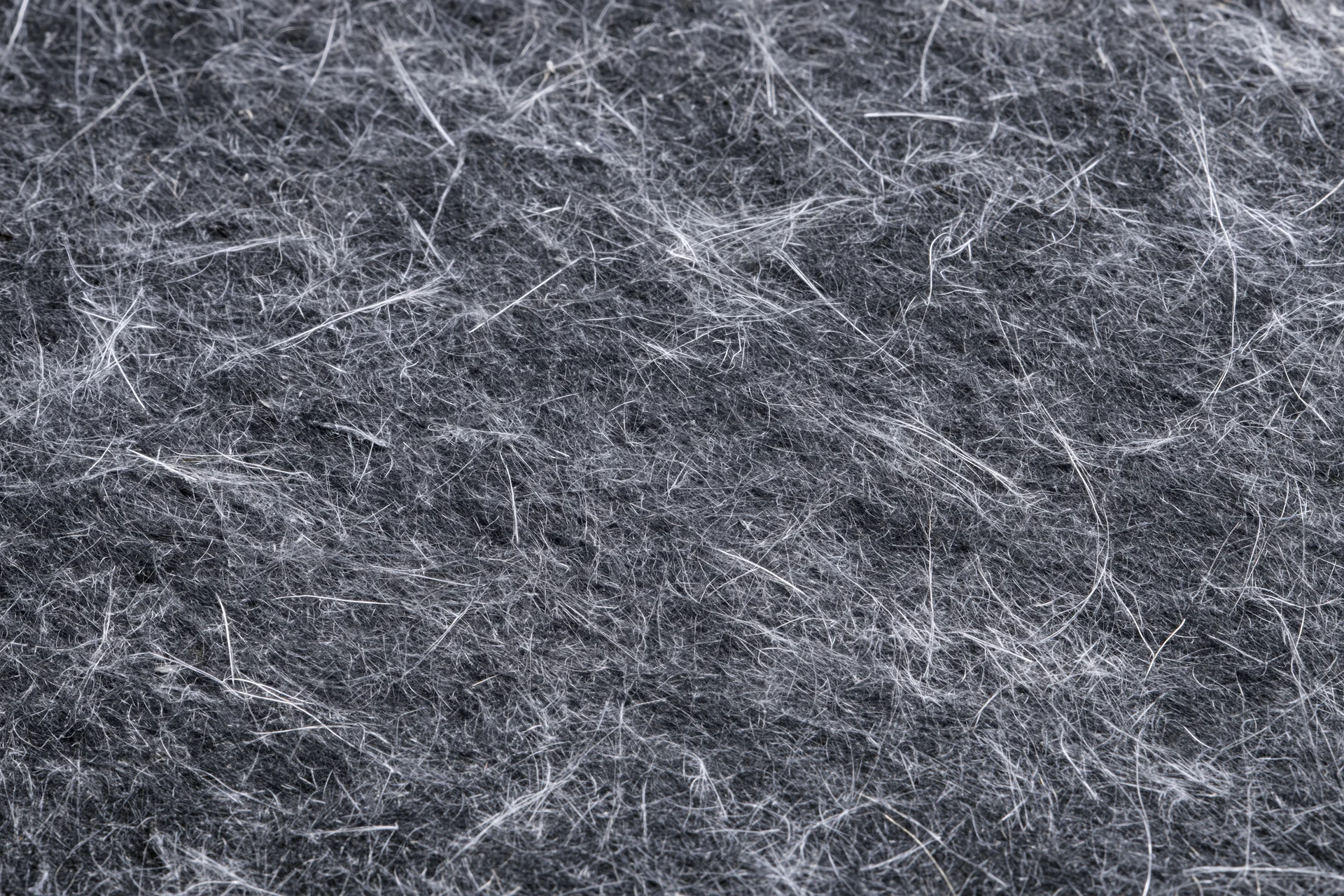 Close-up of tangled white fibers and fine lint on a gray textured surface