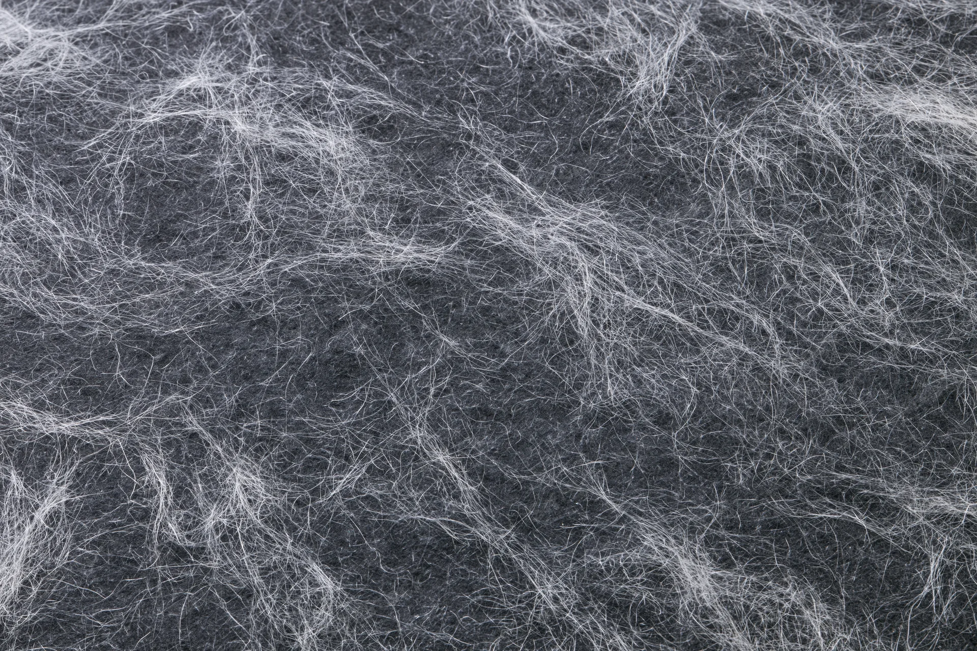 Tangled white fibers and fine lint on dark fabric surface