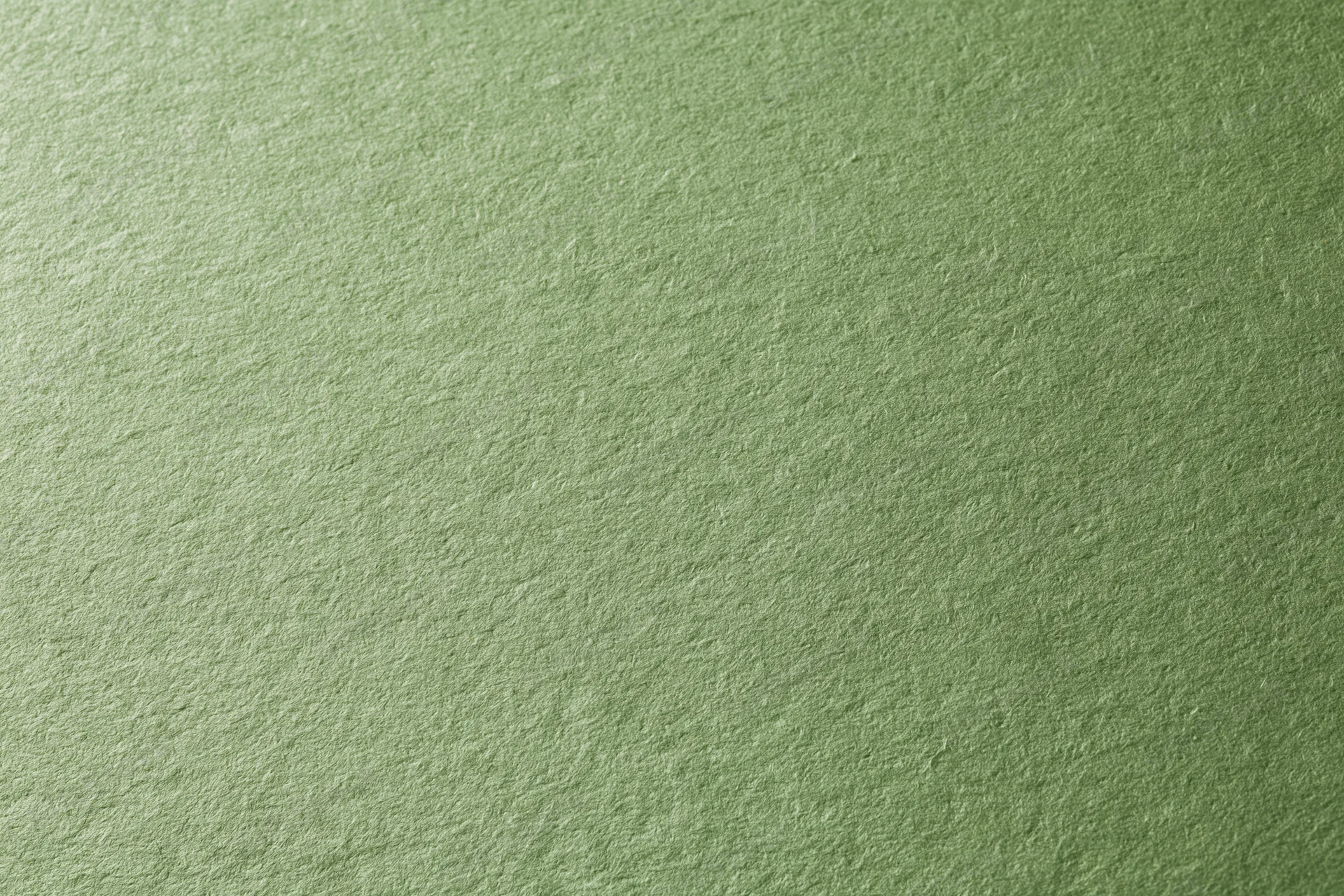 Close-up of muted olive green cardstock surface with textured finish
