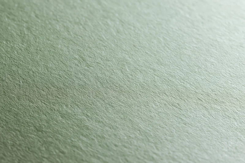 Close-up of sage green cardstock paper surface with textured finish