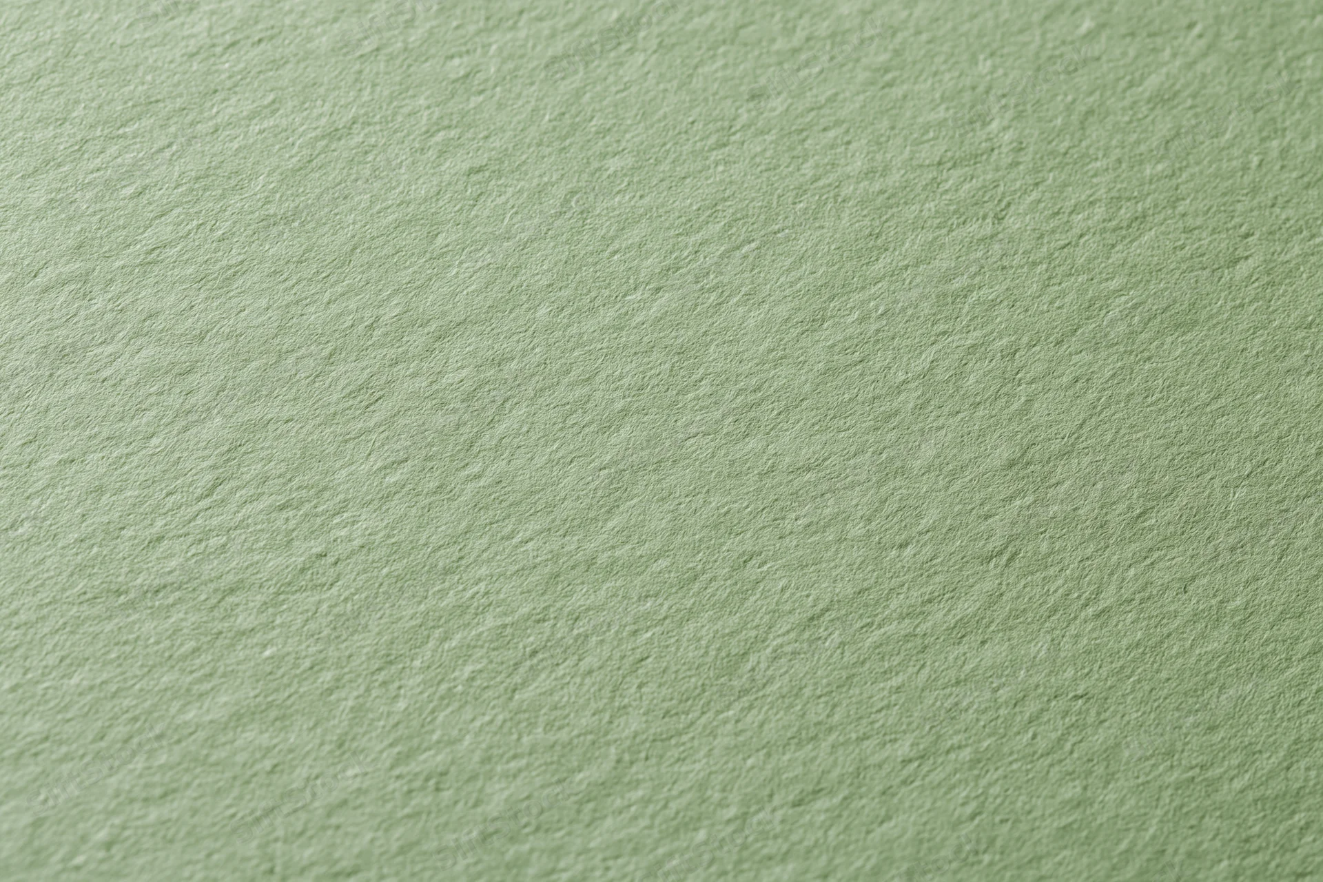 Close-up of sage green cardstock paper surface showing texture and matte finish