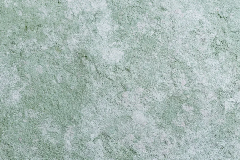 Weathered concrete wall with greenish-gray textured surface showing cracks and peeling paint