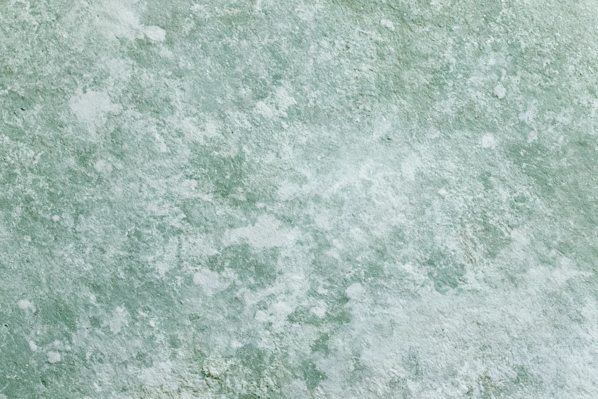 Weathered concrete wall with mottled green and white texture filling the frame