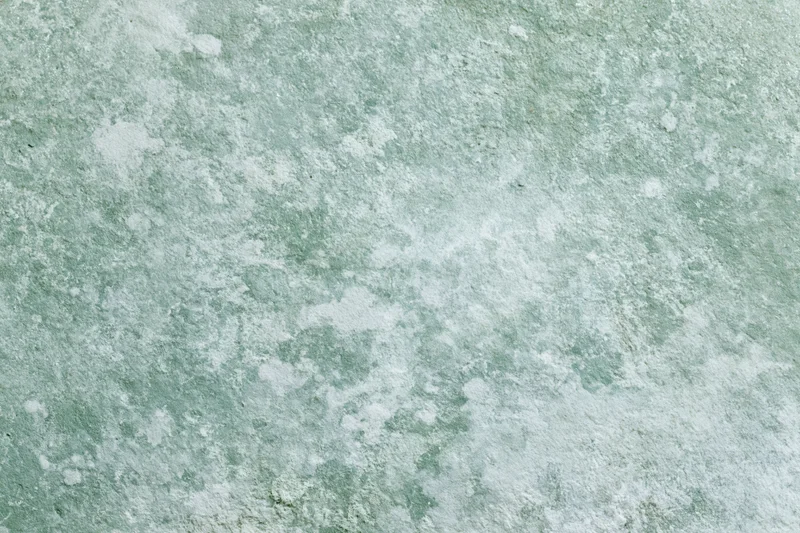 Weathered concrete wall with mottled green and white texture filling the frame