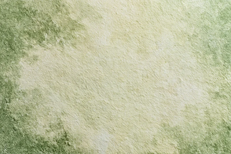 Close-up of aged plaster wall surface with green and beige mottled texture