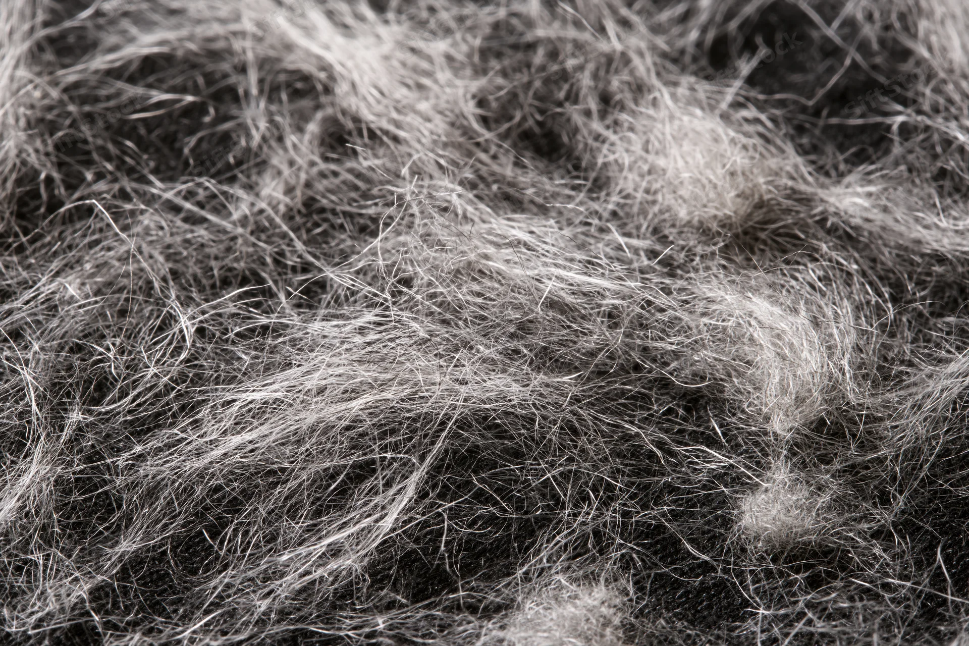 Close-up of scattered pet hair and fine lint fibers on a dark surface