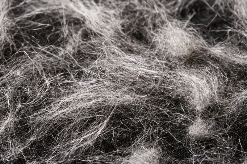 Close-up of scattered pet hair and fine lint fibers on a dark surface