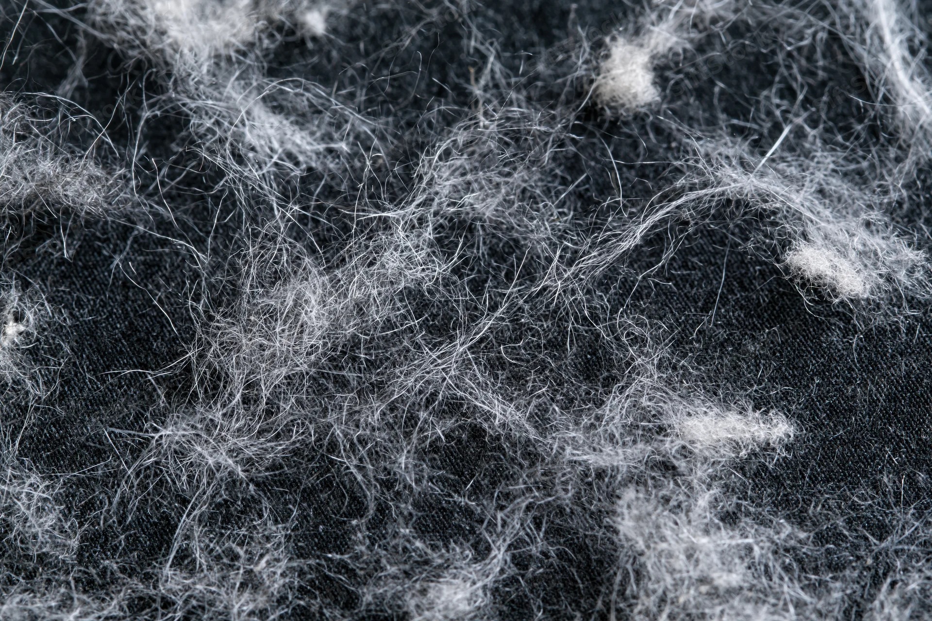 Scattered pet hair and fine lint fibers on dark fabric surface