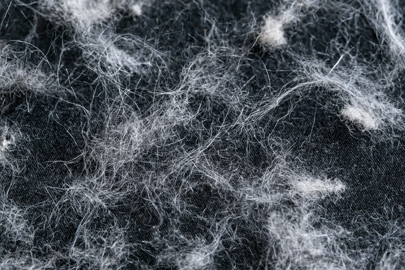 Scattered pet hair and fine lint fibers on dark fabric surface