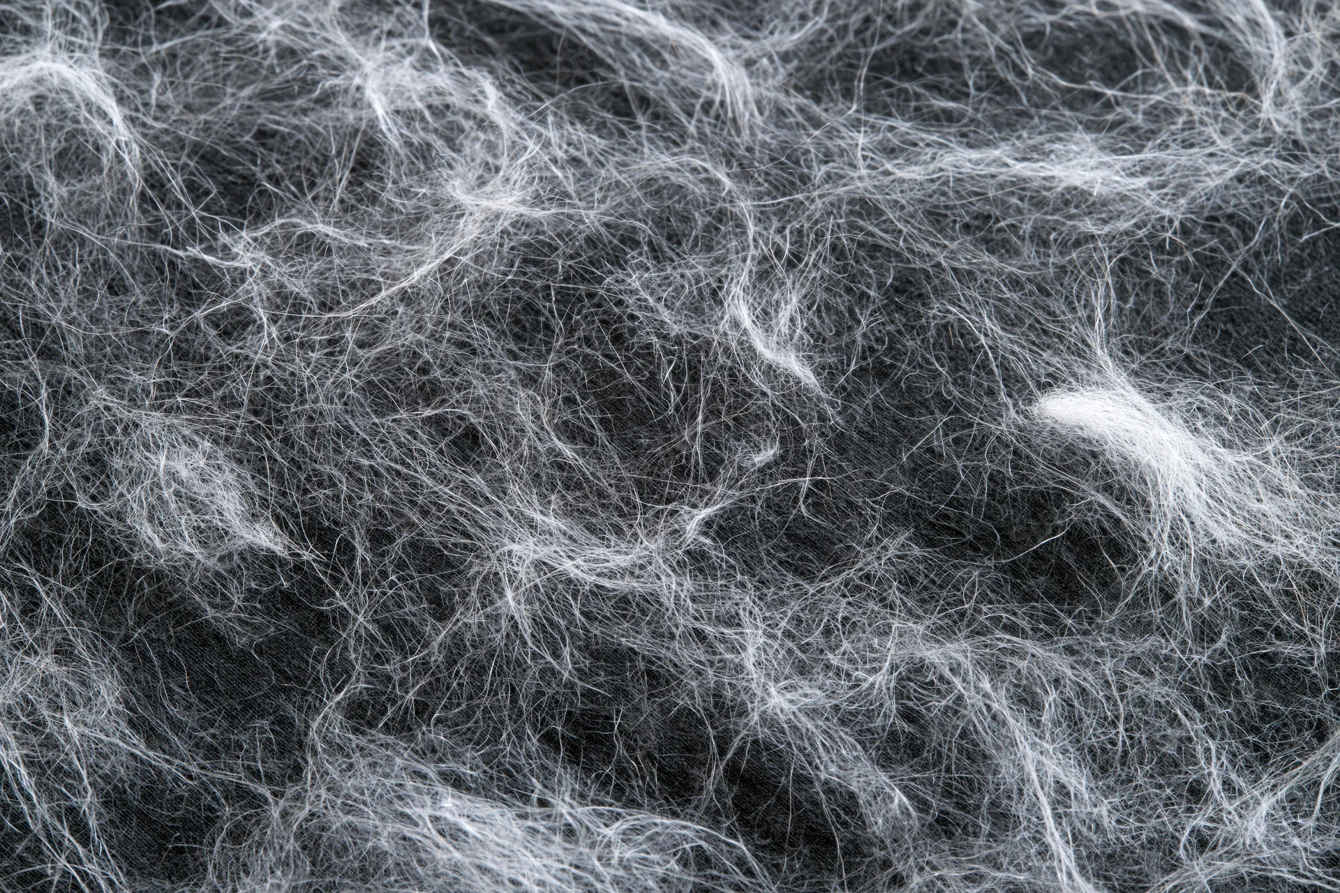Closeup of scattered white pet hair and fine lint fibers on dark surface