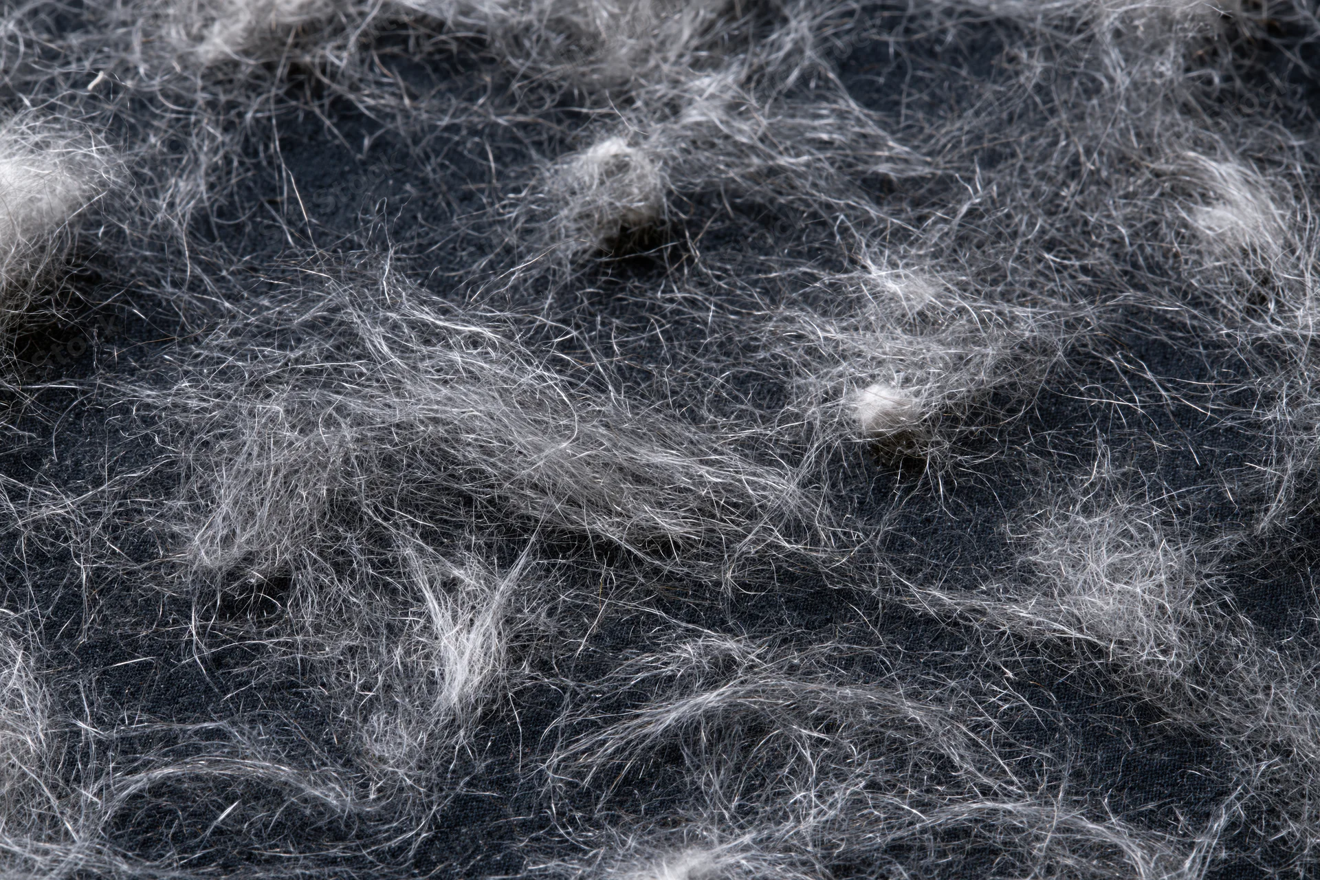 Scattered pet hair and fine lint fibers on dark fabric surface
