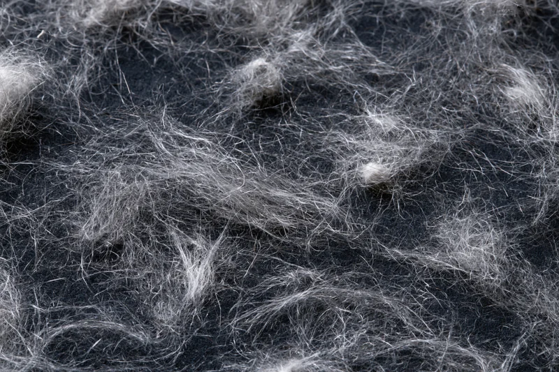 Scattered pet hair and fine lint fibers on dark fabric surface