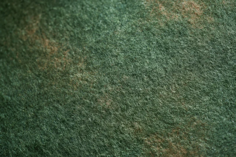 Close-up of worn green felt fabric surface with mottled texture