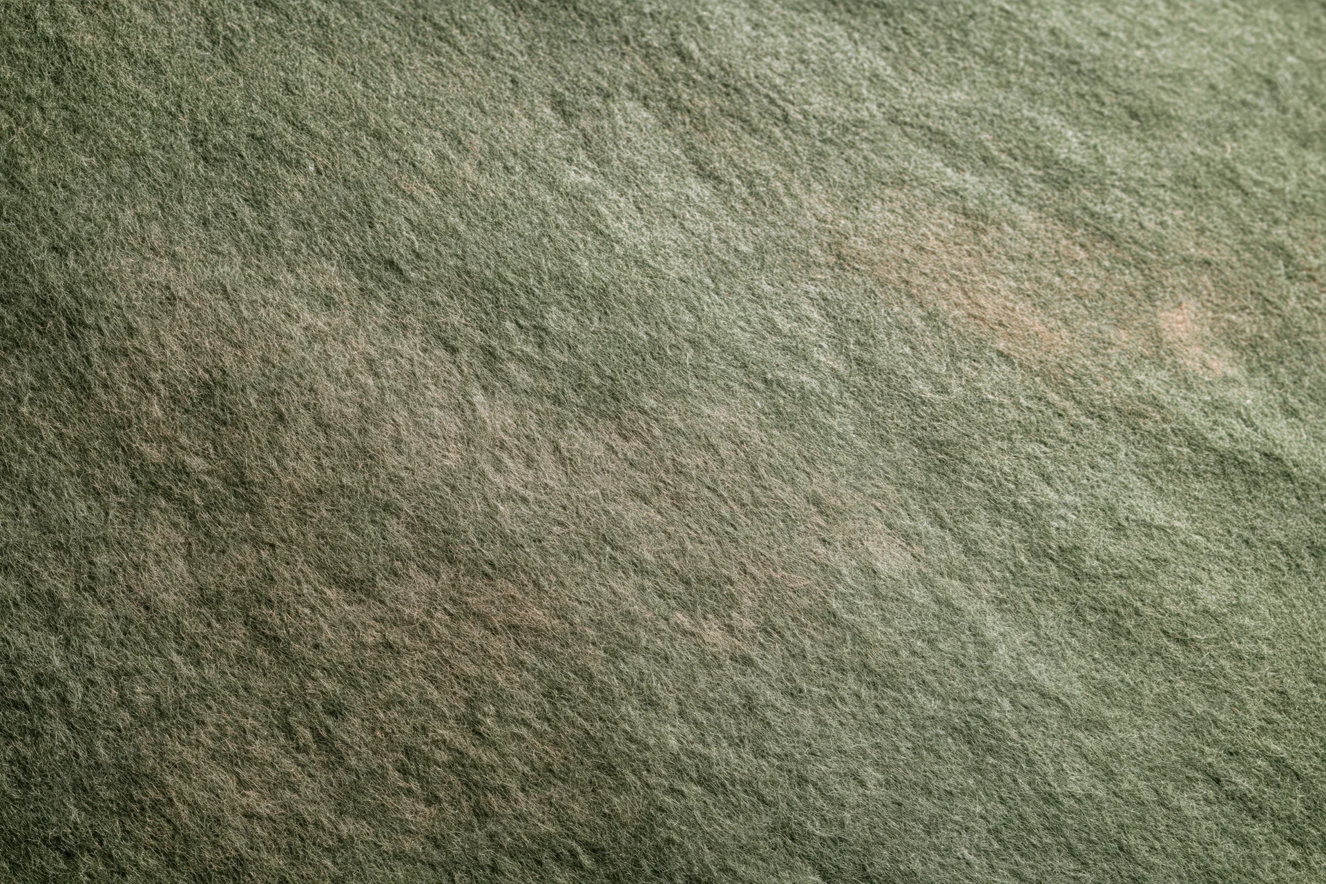 Close-up of worn green felt fabric surface filling the frame
