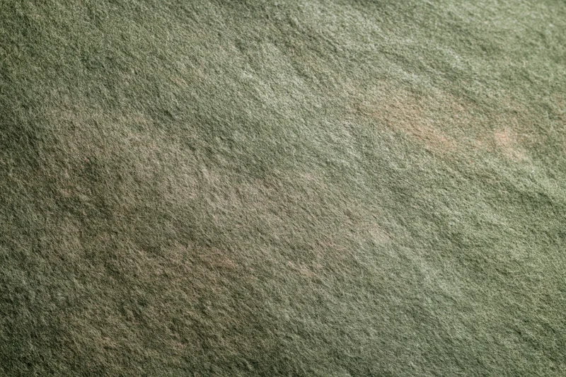 Close-up of worn green felt fabric surface filling the frame