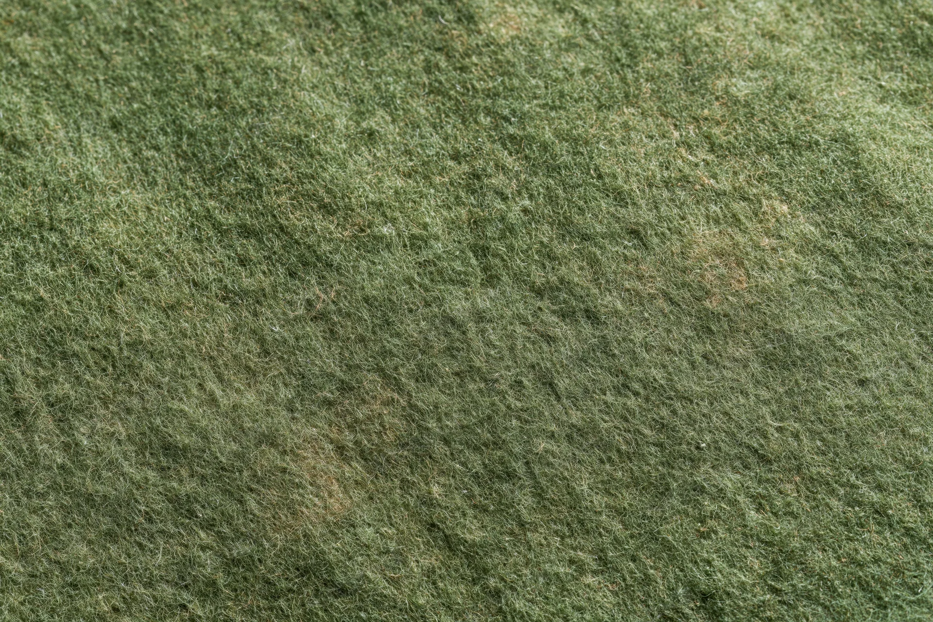 Close-up of worn green felt fabric surface filling the frame