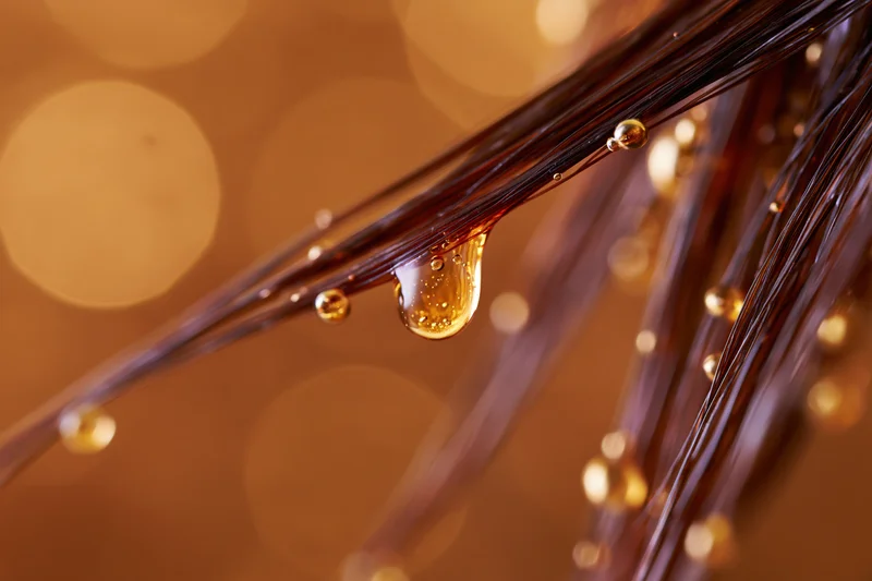Close-up of oil droplets on dark hair strands with warm bokeh background