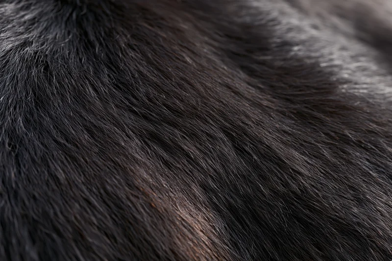 Close-up of dark animal fur texture filling the frame