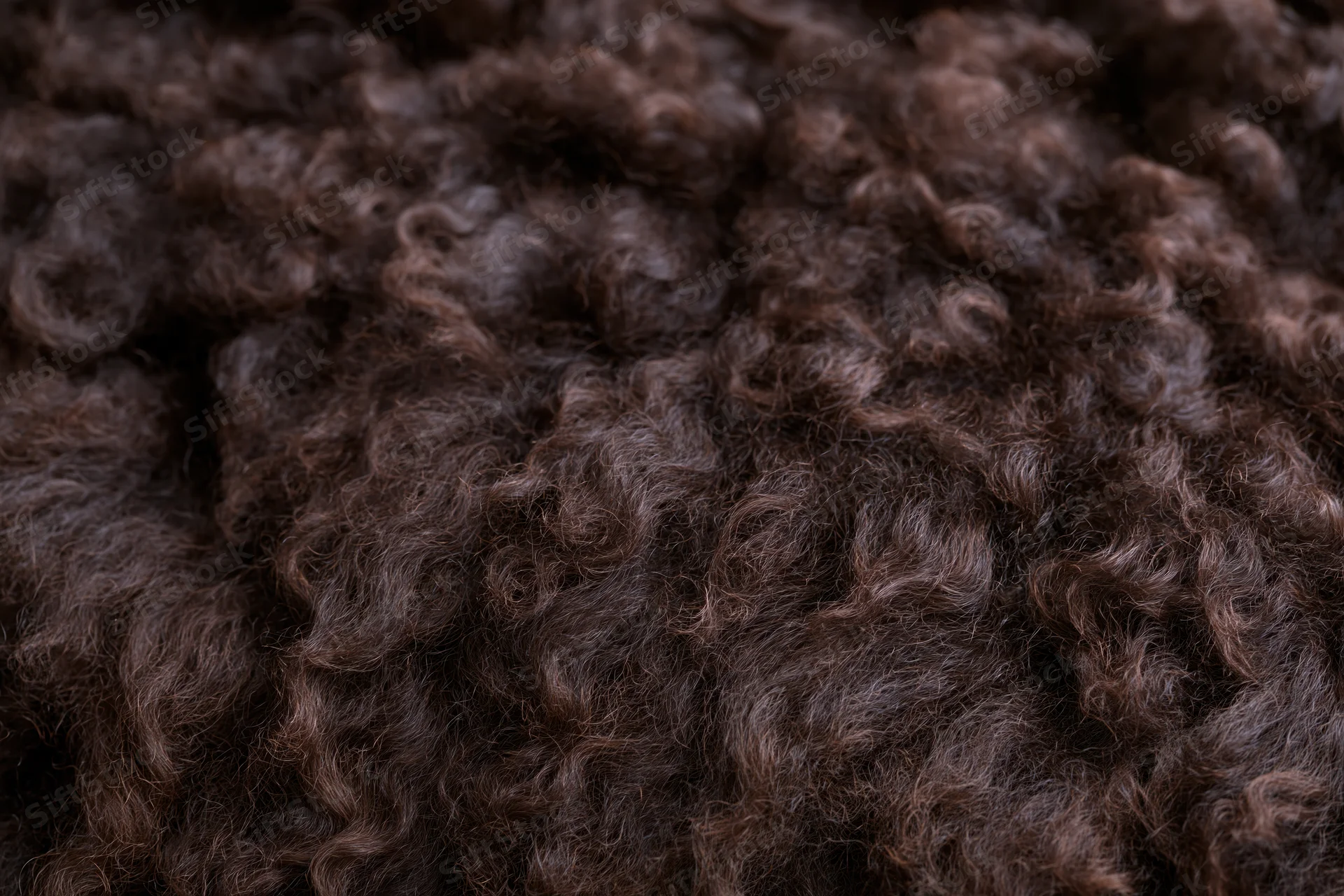 Close-up of dark brown curly sheepskin texture filling the frame
