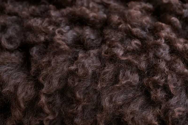 Close-up of dark brown curly sheepskin texture filling the frame