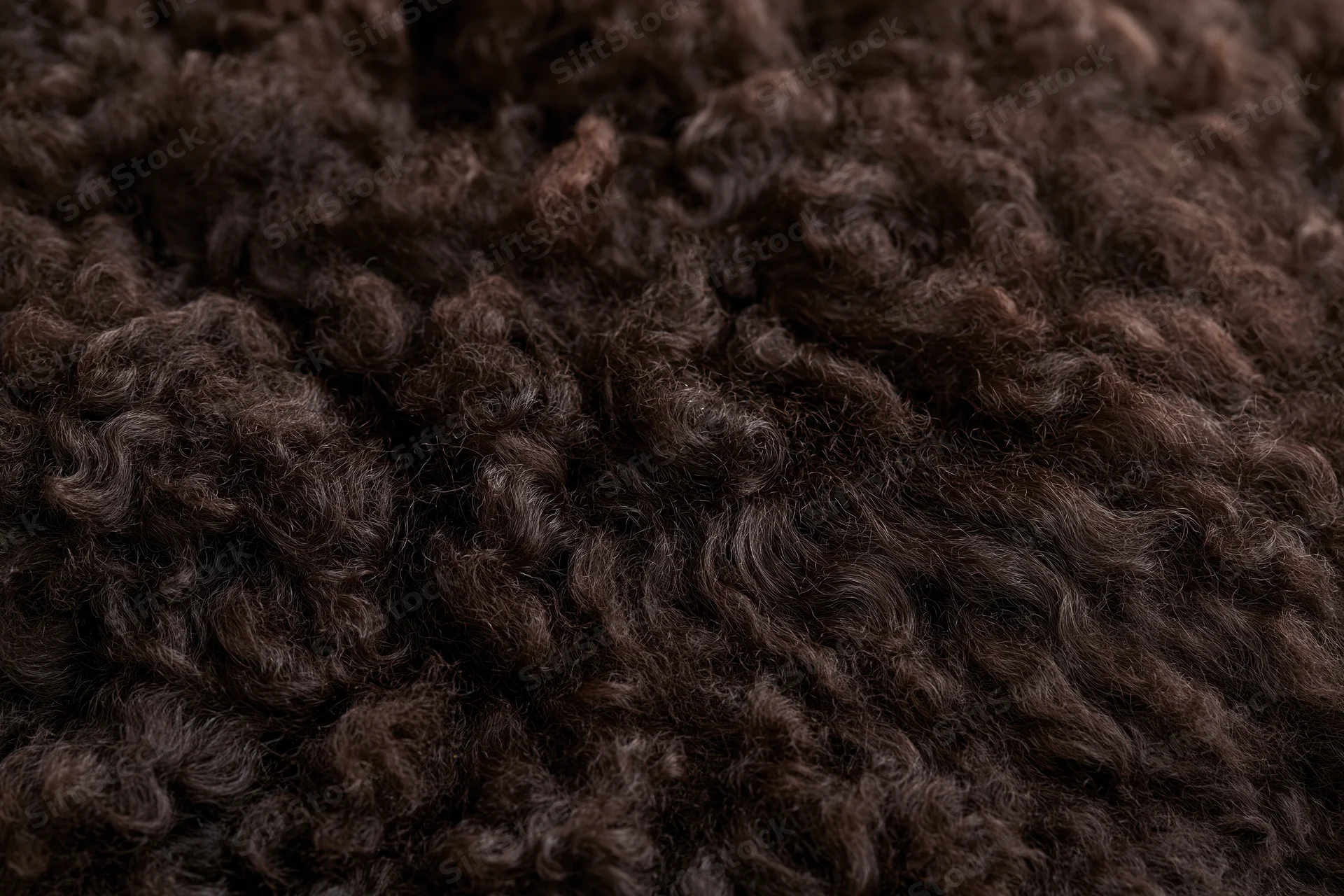 Close-up of dark brown curly wool texture filling the frame