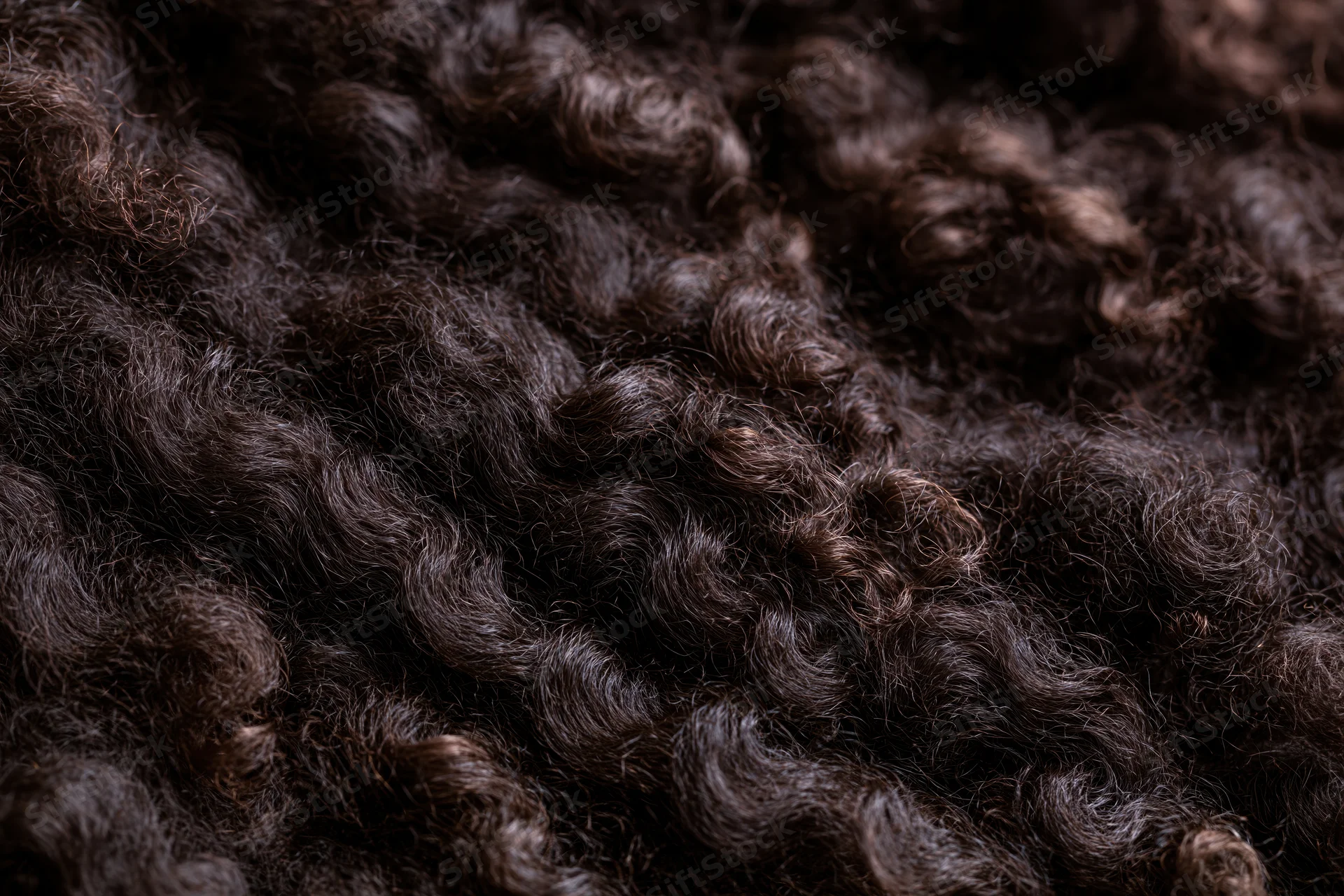 Close-up of dark brown curly wool texture filling the frame