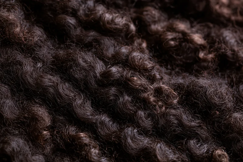 Close-up of dark brown curly wool texture filling the frame