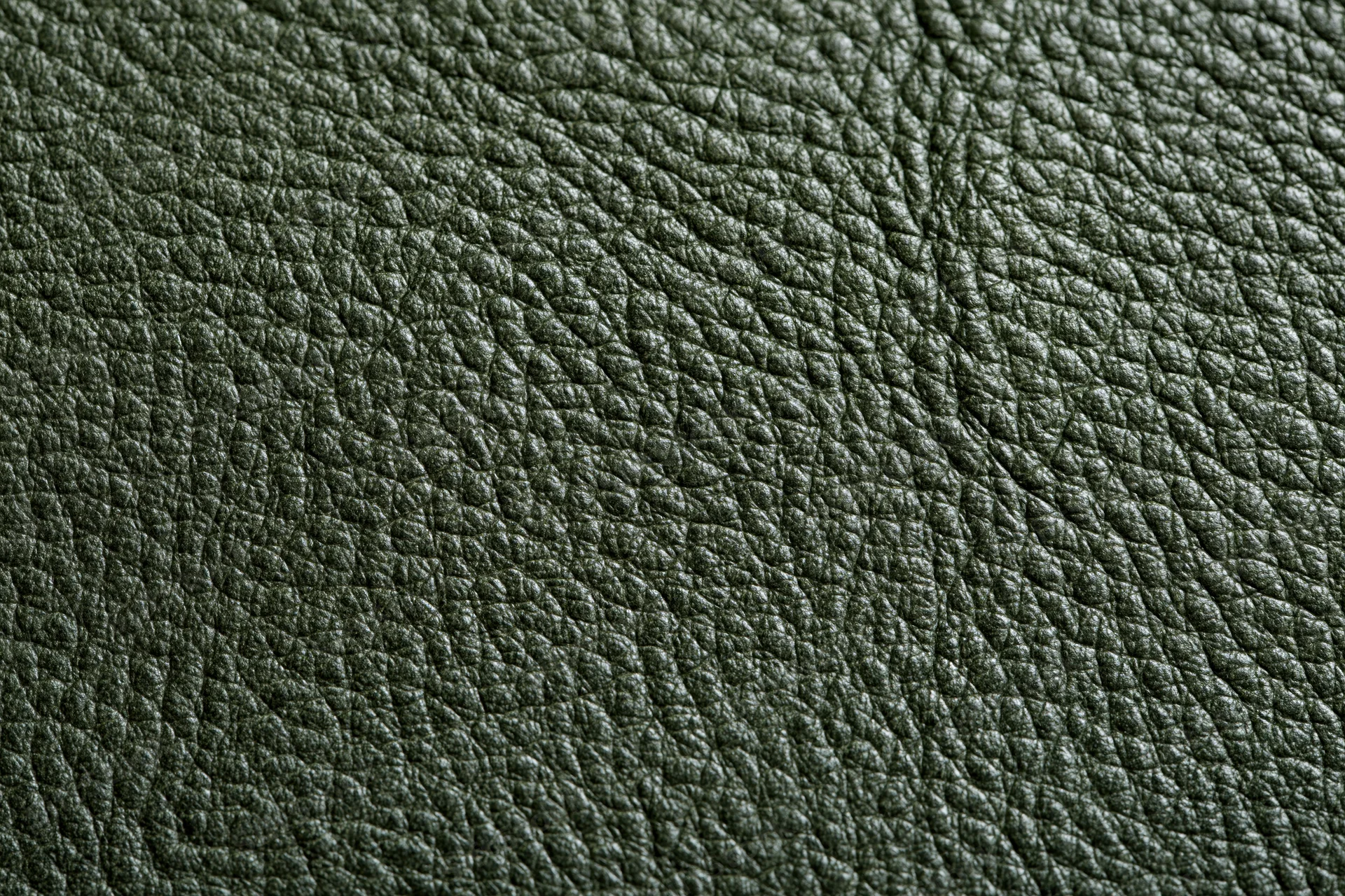 Close-up of dark forest green leather texture filling the frame
