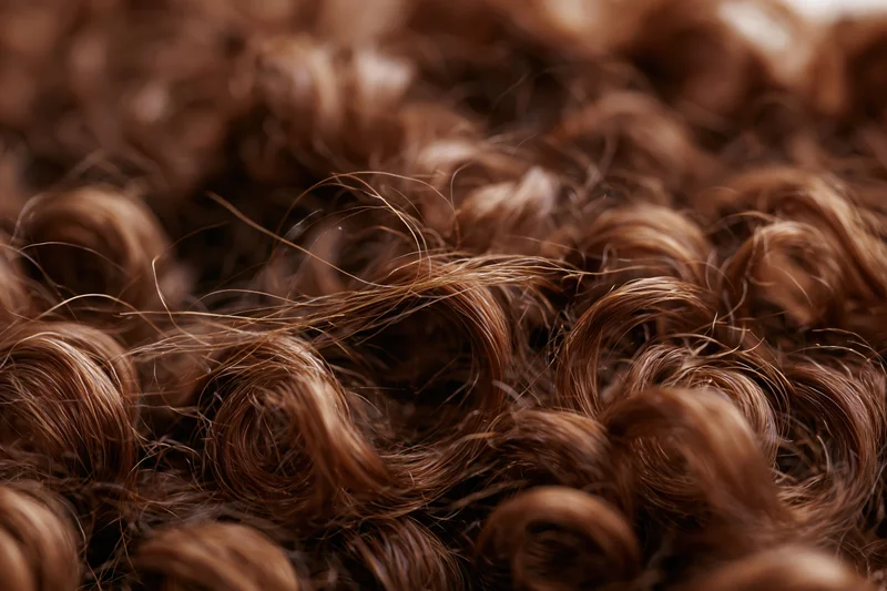 Close-up of dense curly brown hair filling the frame with natural texture and volume