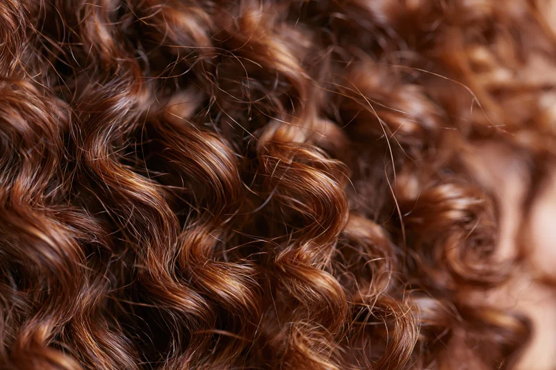 Close-up of dense curly brown hair with natural shine and texture