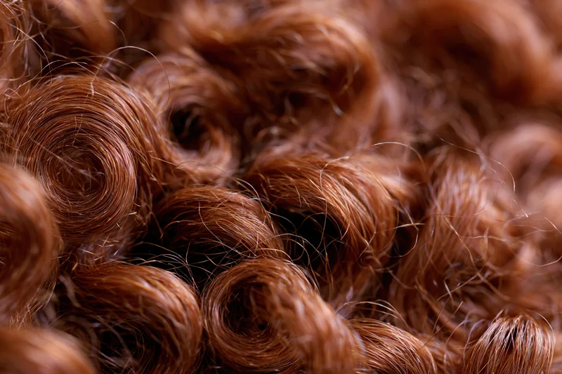 Close-up of dense curly brown hair filling the frame