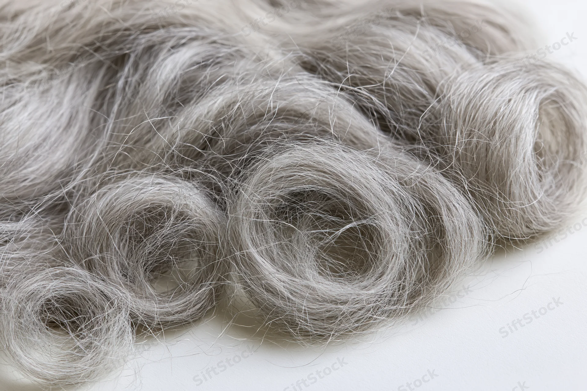 Close-up of silver-grey curly human hair arranged in loose waves on white background