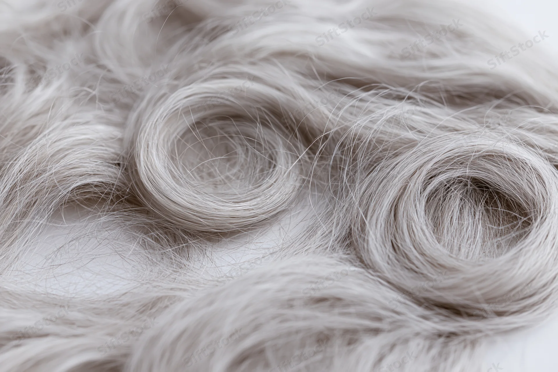 Silver-grey human hair arranged in loose curls on a white background